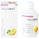 Polodent prášok Classic 300g