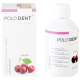 Polodent prášok Classic 300g