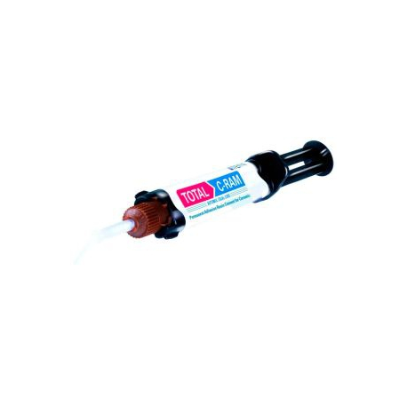 TotalC-Ram 8g